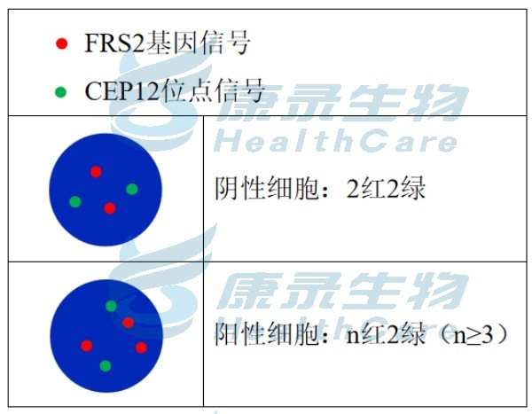 中国·拉斯维加斯(3499·官方认证)网站-Officialwebsite