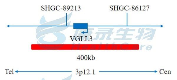 中国·拉斯维加斯(3499·官方认证)网站-Officialwebsite