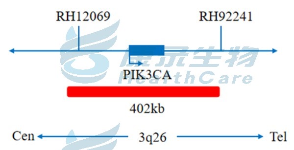 中国·拉斯维加斯(3499·官方认证)网站-Officialwebsite
