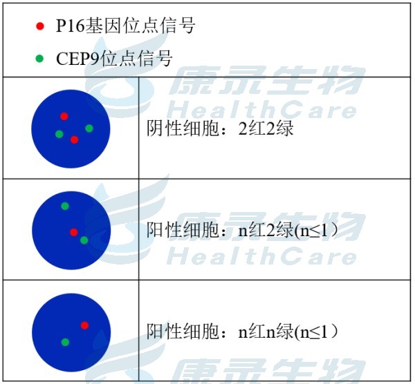中国·拉斯维加斯(3499·官方认证)网站-Officialwebsite