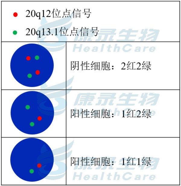 中国·拉斯维加斯(3499·官方认证)网站-Officialwebsite