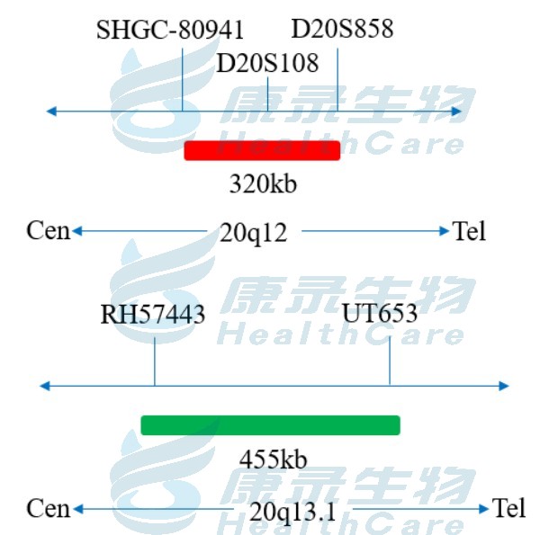 中国·拉斯维加斯(3499·官方认证)网站-Officialwebsite