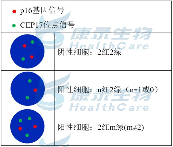中国·拉斯维加斯(3499·官方认证)网站-Officialwebsite