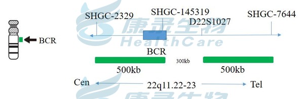 中国·拉斯维加斯(3499·官方认证)网站-Officialwebsite