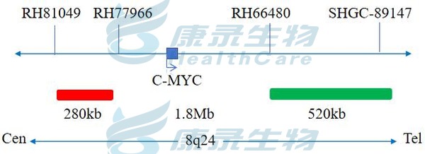 中国·拉斯维加斯(3499·官方认证)网站-Officialwebsite
