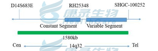 中国·拉斯维加斯(3499·官方认证)网站-Officialwebsite