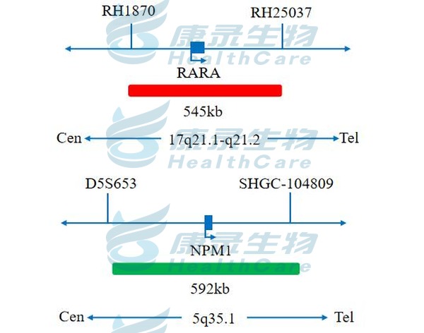 中国·拉斯维加斯(3499·官方认证)网站-Officialwebsite