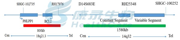 中国·拉斯维加斯(3499·官方认证)网站-Officialwebsite