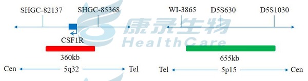 中国·拉斯维加斯(3499·官方认证)网站-Officialwebsite