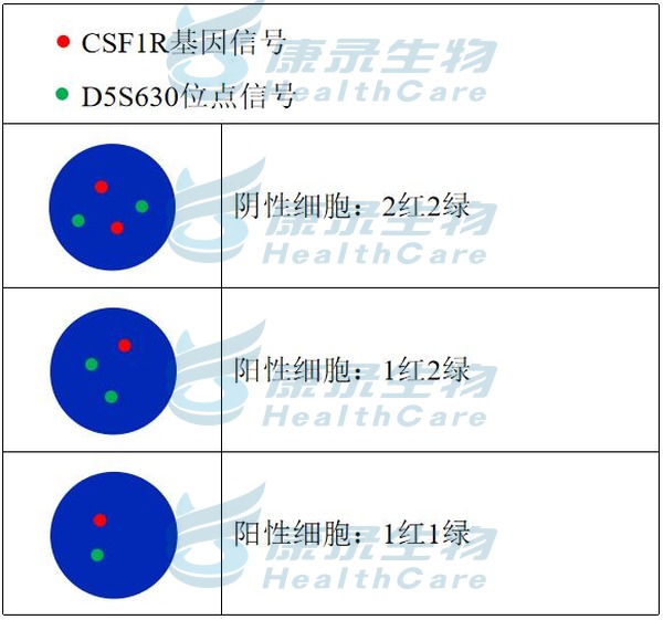 中国·拉斯维加斯(3499·官方认证)网站-Officialwebsite