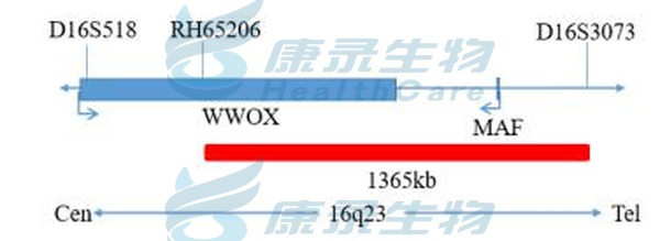 中国·拉斯维加斯(3499·官方认证)网站-Officialwebsite