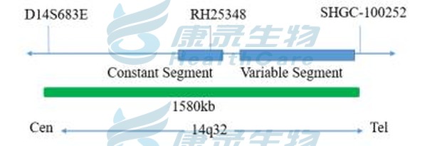 中国·拉斯维加斯(3499·官方认证)网站-Officialwebsite