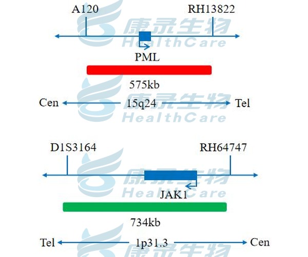 中国·拉斯维加斯(3499·官方认证)网站-Officialwebsite