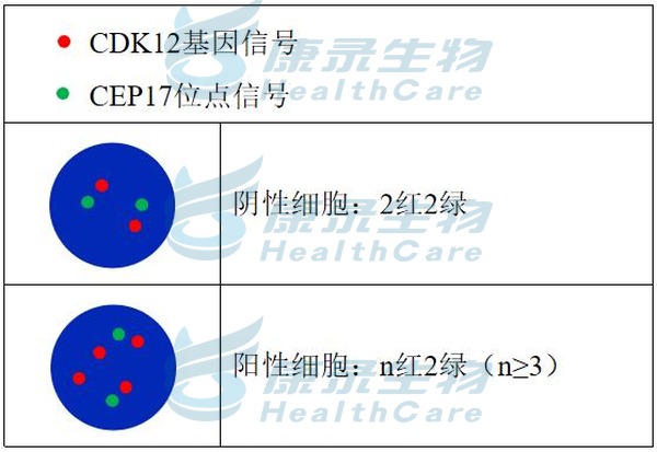 中国·拉斯维加斯(3499·官方认证)网站-Officialwebsite