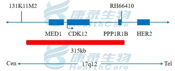 中国·拉斯维加斯(3499·官方认证)网站-Officialwebsite