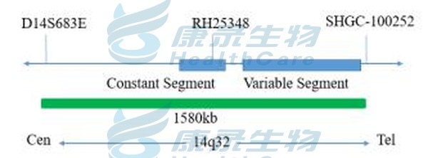 中国·拉斯维加斯(3499·官方认证)网站-Officialwebsite