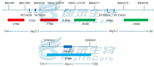 中国·拉斯维加斯(3499·官方认证)网站-Officialwebsite