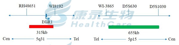 中国·拉斯维加斯(3499·官方认证)网站-Officialwebsite