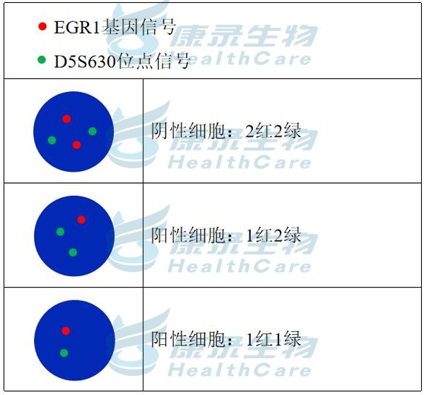 中国·拉斯维加斯(3499·官方认证)网站-Officialwebsite
