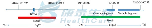 中国·拉斯维加斯(3499·官方认证)网站-Officialwebsite