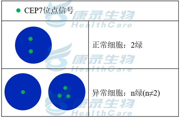 中国·拉斯维加斯(3499·官方认证)网站-Officialwebsite