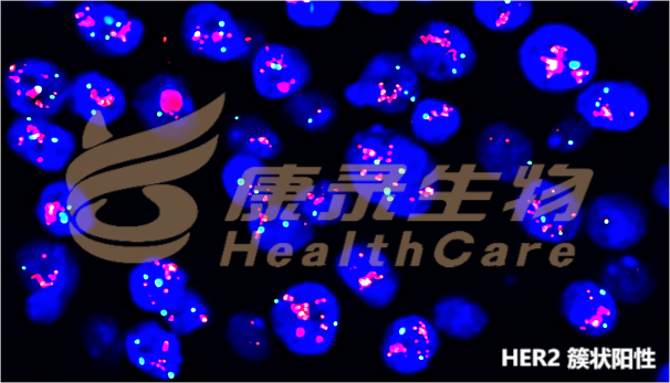 中国·拉斯维加斯(3499·官方认证)网站-Officialwebsite