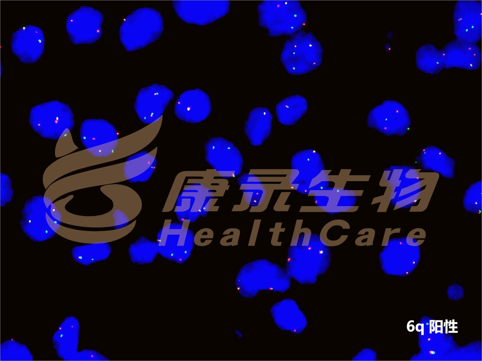 中国·拉斯维加斯(3499·官方认证)网站-Officialwebsite