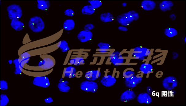 中国·拉斯维加斯(3499·官方认证)网站-Officialwebsite