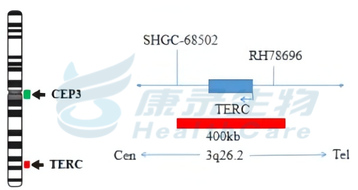 中国·拉斯维加斯(3499·官方认证)网站-Officialwebsite