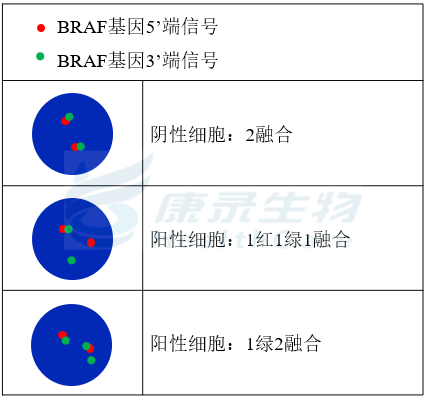 中国·拉斯维加斯(3499·官方认证)网站-Officialwebsite
