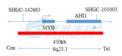 中国·拉斯维加斯(3499·官方认证)网站-Officialwebsite