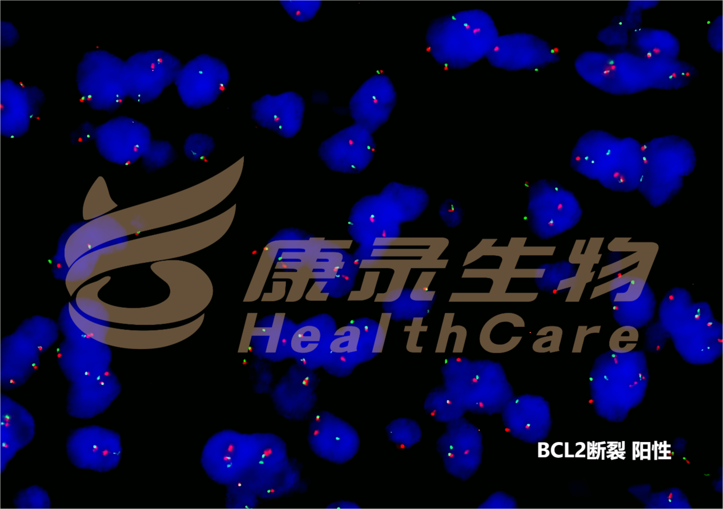 中国·拉斯维加斯(3499·官方认证)网站-Officialwebsite