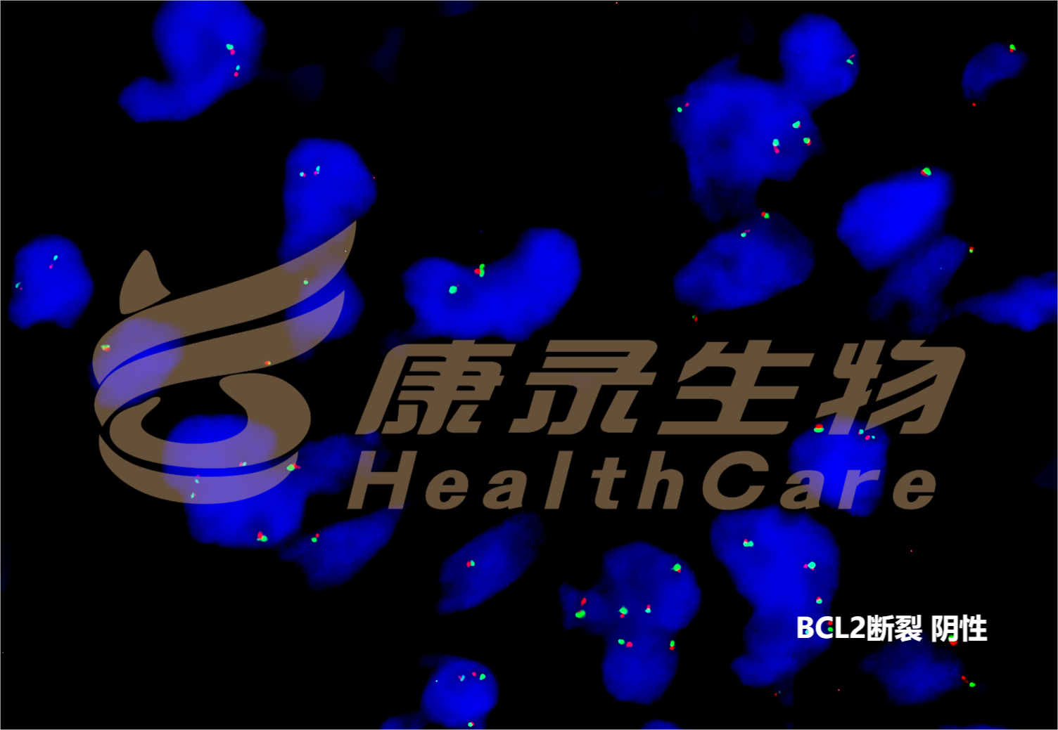 中国·拉斯维加斯(3499·官方认证)网站-Officialwebsite