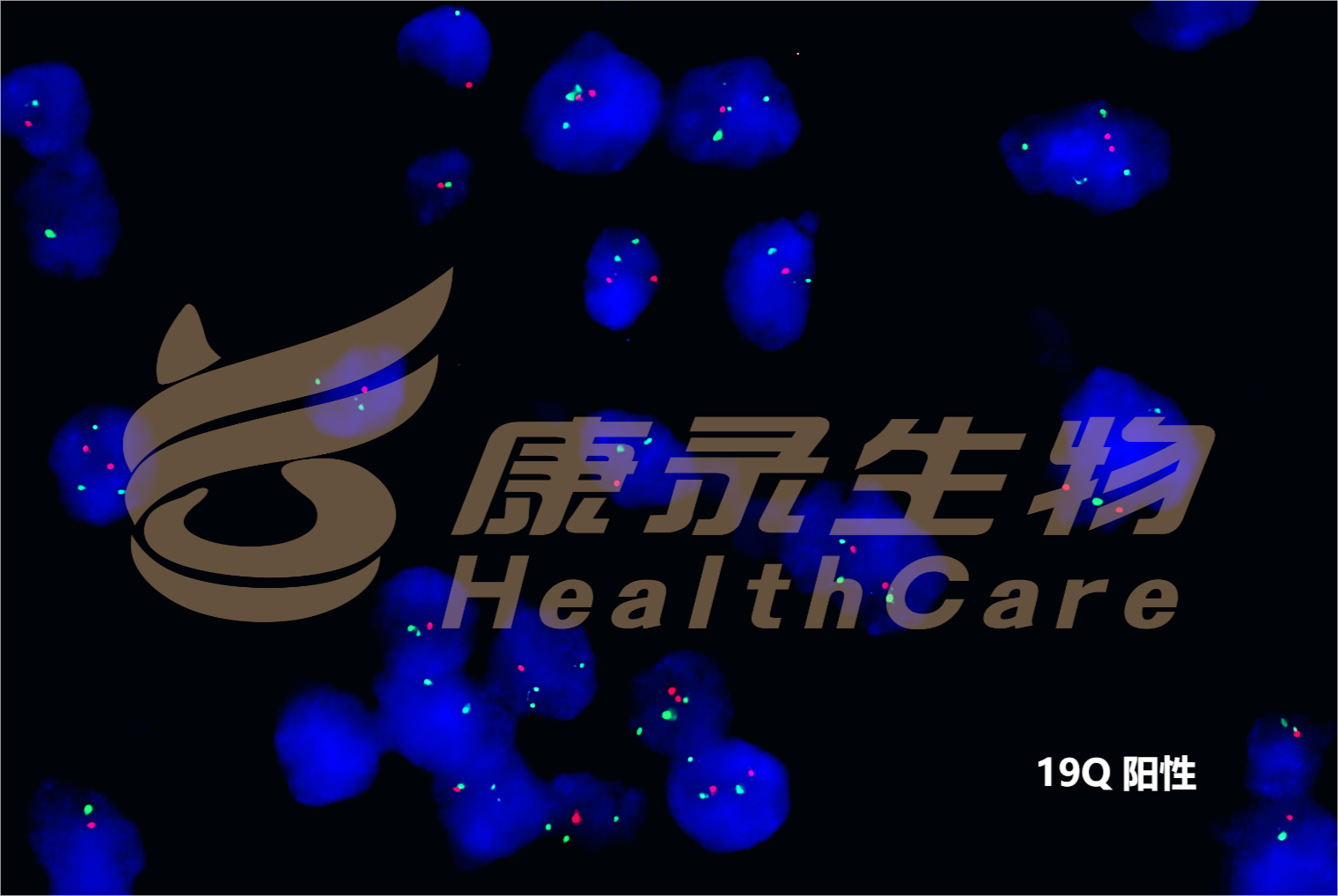中国·拉斯维加斯(3499·官方认证)网站-Officialwebsite
