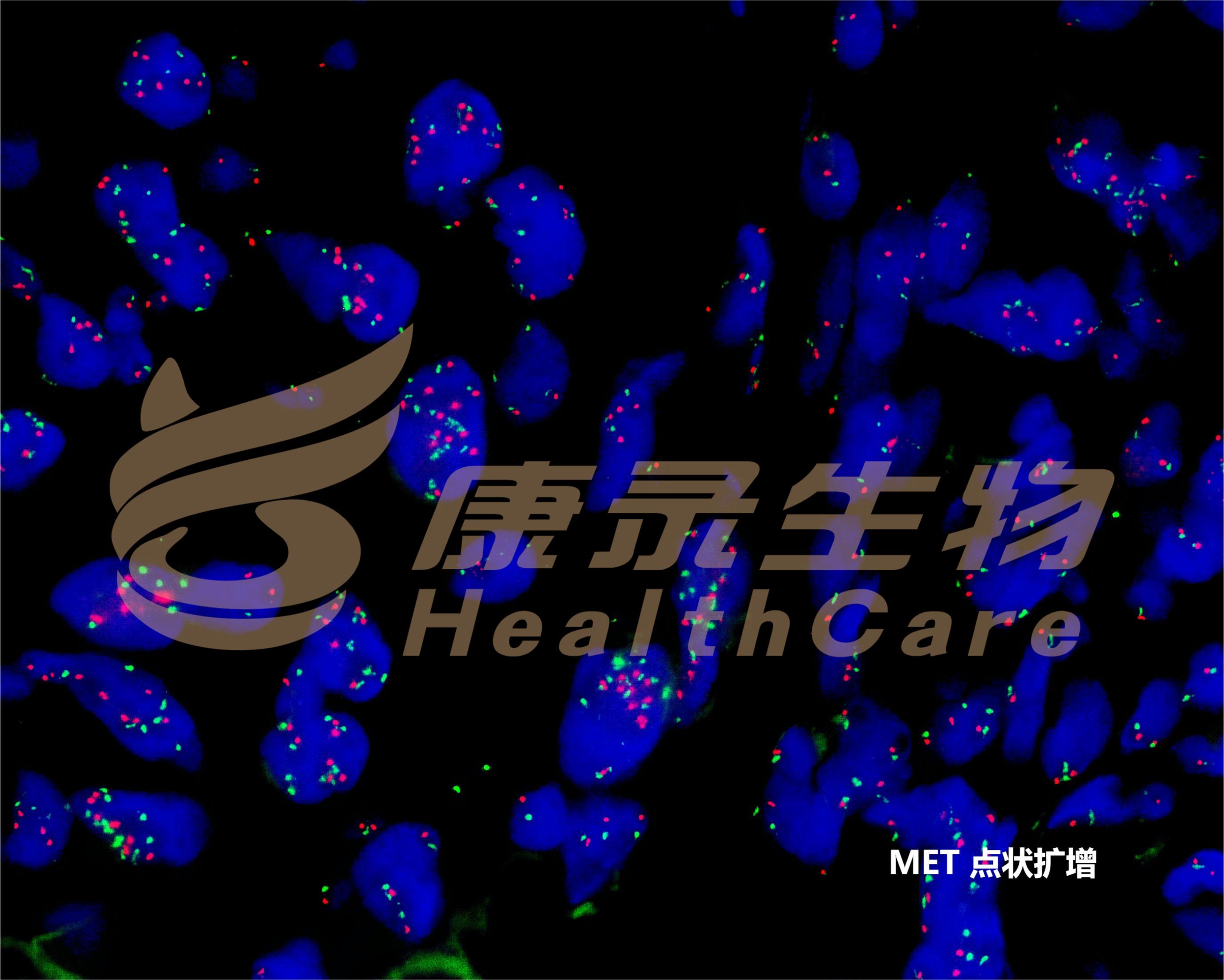 中国·拉斯维加斯(3499·官方认证)网站-Officialwebsite