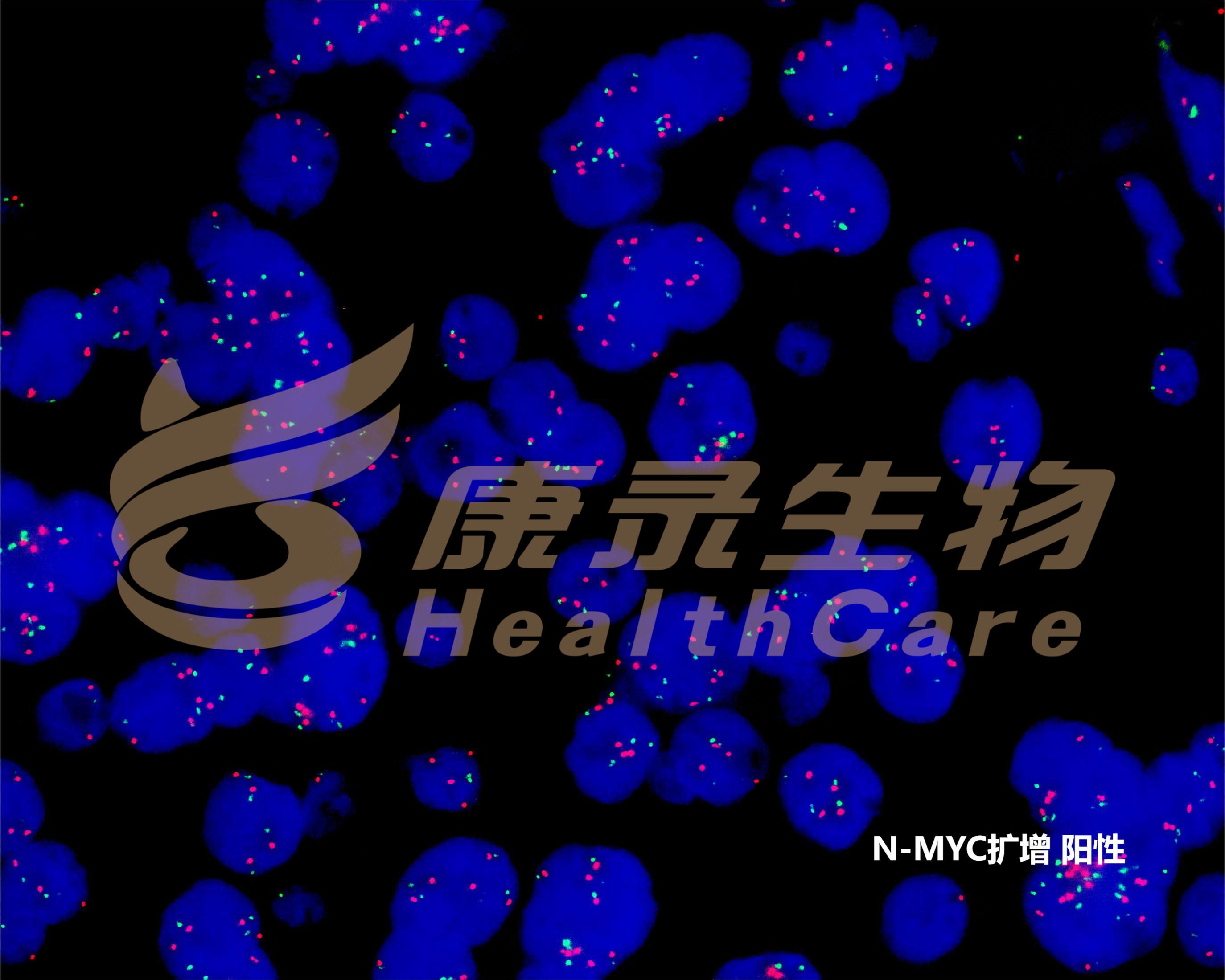 中国·拉斯维加斯(3499·官方认证)网站-Officialwebsite