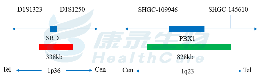 中国·拉斯维加斯(3499·官方认证)网站-Officialwebsite