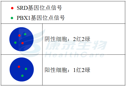 中国·拉斯维加斯(3499·官方认证)网站-Officialwebsite
