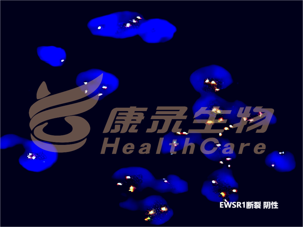 中国·拉斯维加斯(3499·官方认证)网站-Officialwebsite