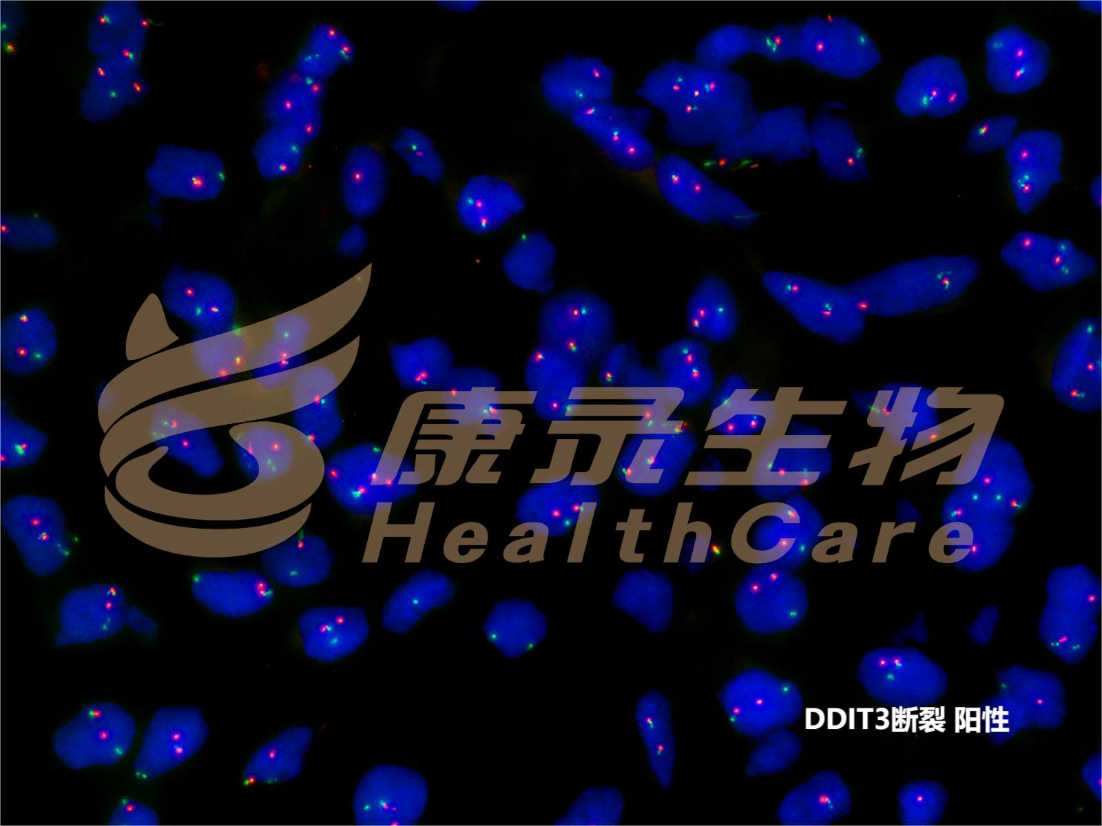 中国·拉斯维加斯(3499·官方认证)网站-Officialwebsite