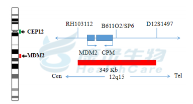 中国·拉斯维加斯(3499·官方认证)网站-Officialwebsite