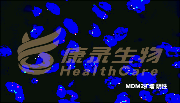 中国·拉斯维加斯(3499·官方认证)网站-Officialwebsite