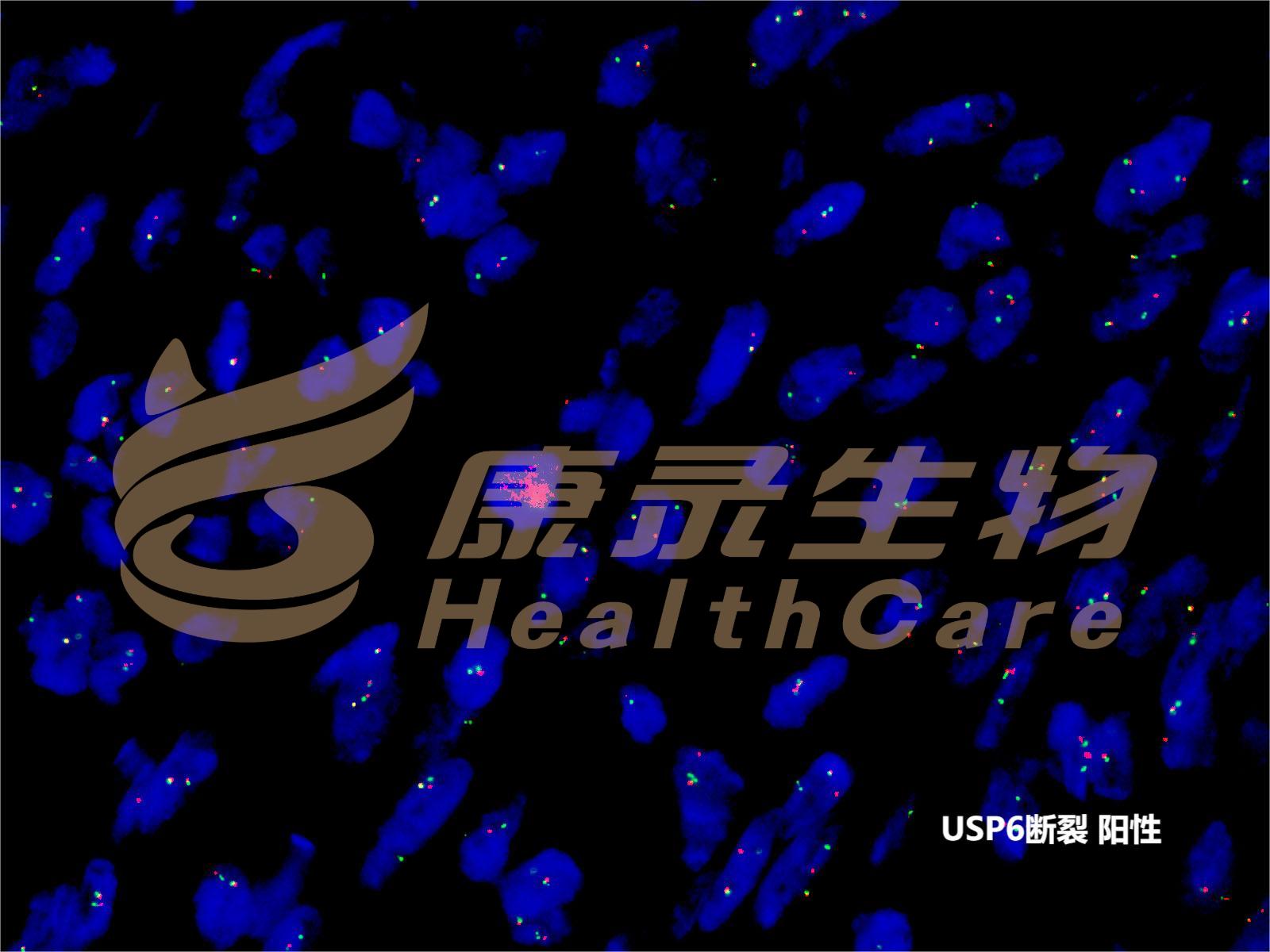 中国·拉斯维加斯(3499·官方认证)网站-Officialwebsite