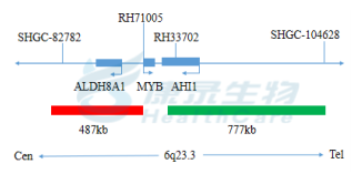 中国·拉斯维加斯(3499·官方认证)网站-Officialwebsite