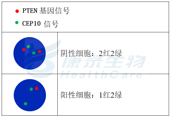 中国·拉斯维加斯(3499·官方认证)网站-Officialwebsite