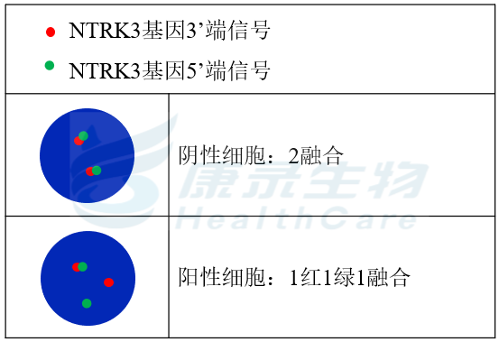中国·拉斯维加斯(3499·官方认证)网站-Officialwebsite