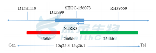 中国·拉斯维加斯(3499·官方认证)网站-Officialwebsite