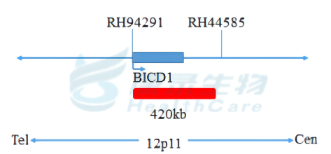 中国·拉斯维加斯(3499·官方认证)网站-Officialwebsite