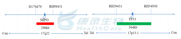 中国·拉斯维加斯(3499·官方认证)网站-Officialwebsite
