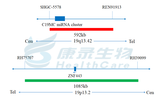 中国·拉斯维加斯(3499·官方认证)网站-Officialwebsite